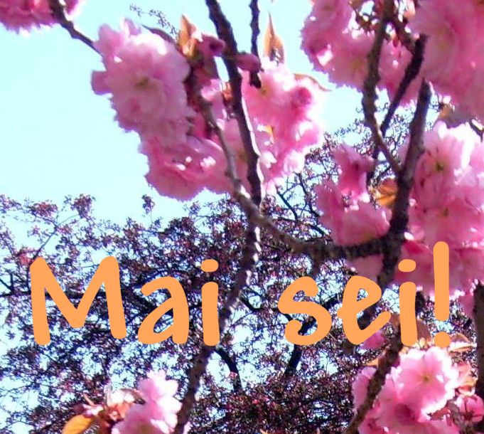MaiSei12 Mai 2012